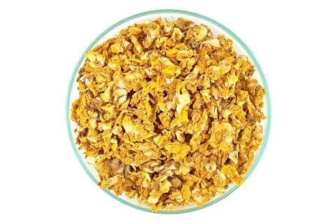 Kwiat Dziewanny verbascum thapsus flores